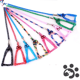 Dây đeo cún cưng thiết kế nhiều màu sắc xinh xắn tiện dụng