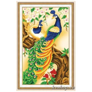 Tranh đính đá chim công khổ dọc ky52x80cm