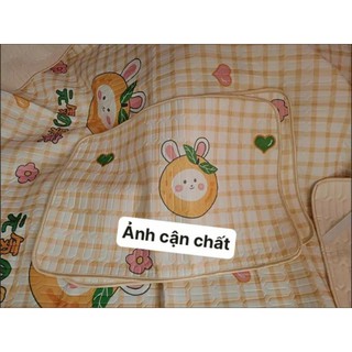 Chiếu điều hoà cao su non