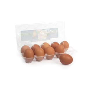 Vĩ nhựa 10 trứng Gà