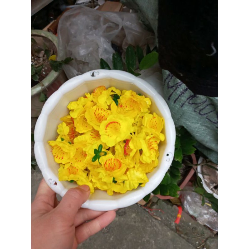 80 bông hoa mai thêm 1 cái keo nến