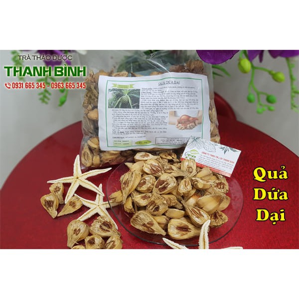 Quả Dứa Dại 1kg - Không Lo Sỏi Thận - Thảo Dược Thanh Bình