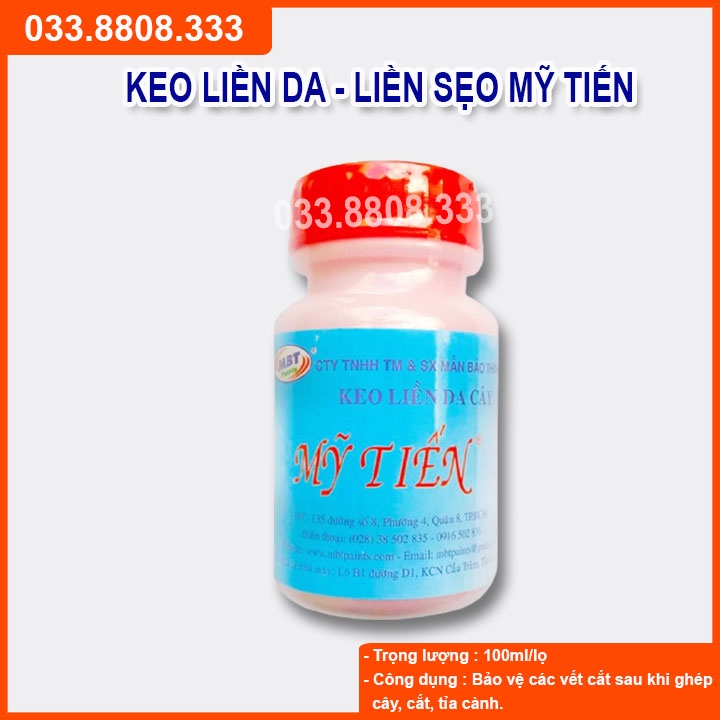 [GIÁ SỐC] Keo Liền Da Cây - Keo Mỹ Tiến