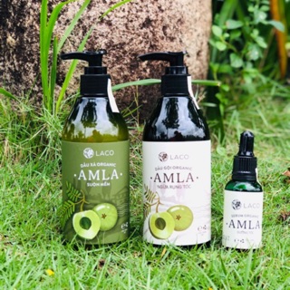 BỘ DẦU GỘI AMLA NGỪA RỤNG TÓC, KÍCH THÍCH MỌC TÓC 300ml