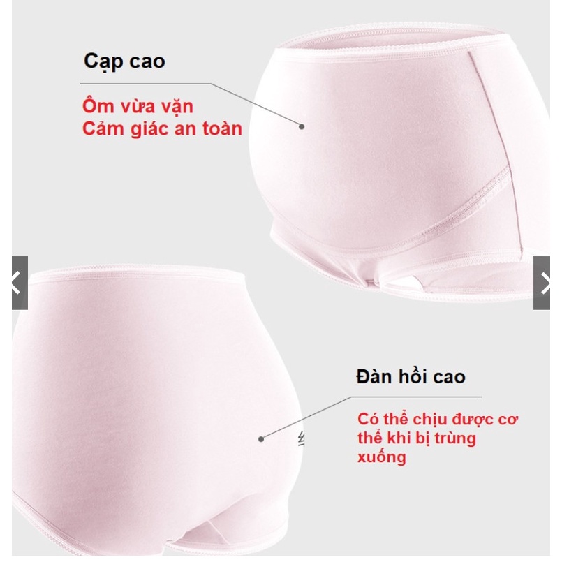 Quần lót bầu cạp cao nâng đỡ bụng bầu,đáy quần kháng khuẩn. quần lót QL29021 đơn giản dễ mặc hàng đẹp