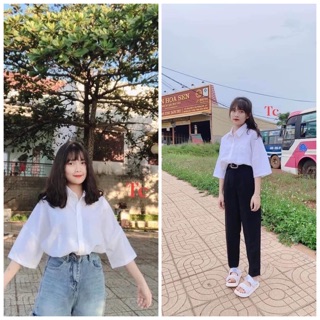 Áo Sơ Mi Trắng Đi Học Unisex( ảnh thật)