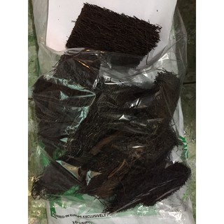 Dớn cắt miếng ghép lan-0.5kg