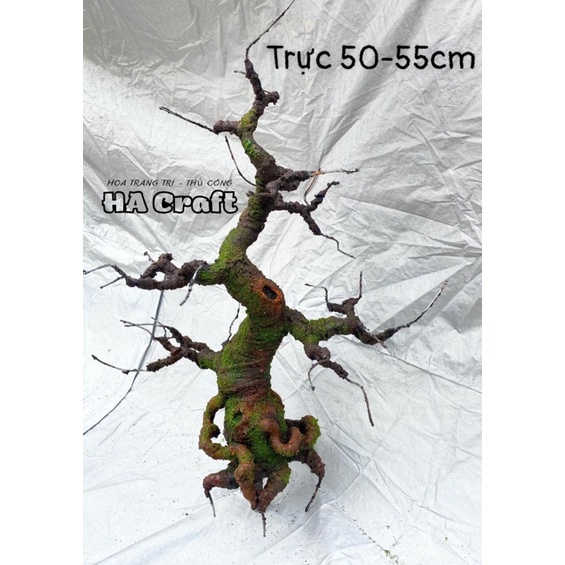 Gốc Bonsai, thân cây giả dáng Trực thẳng 60-65cm, làm hoa mai đào trang trí nhà,đón tết