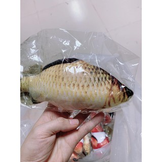 cá bông đồ chơi cho mèo