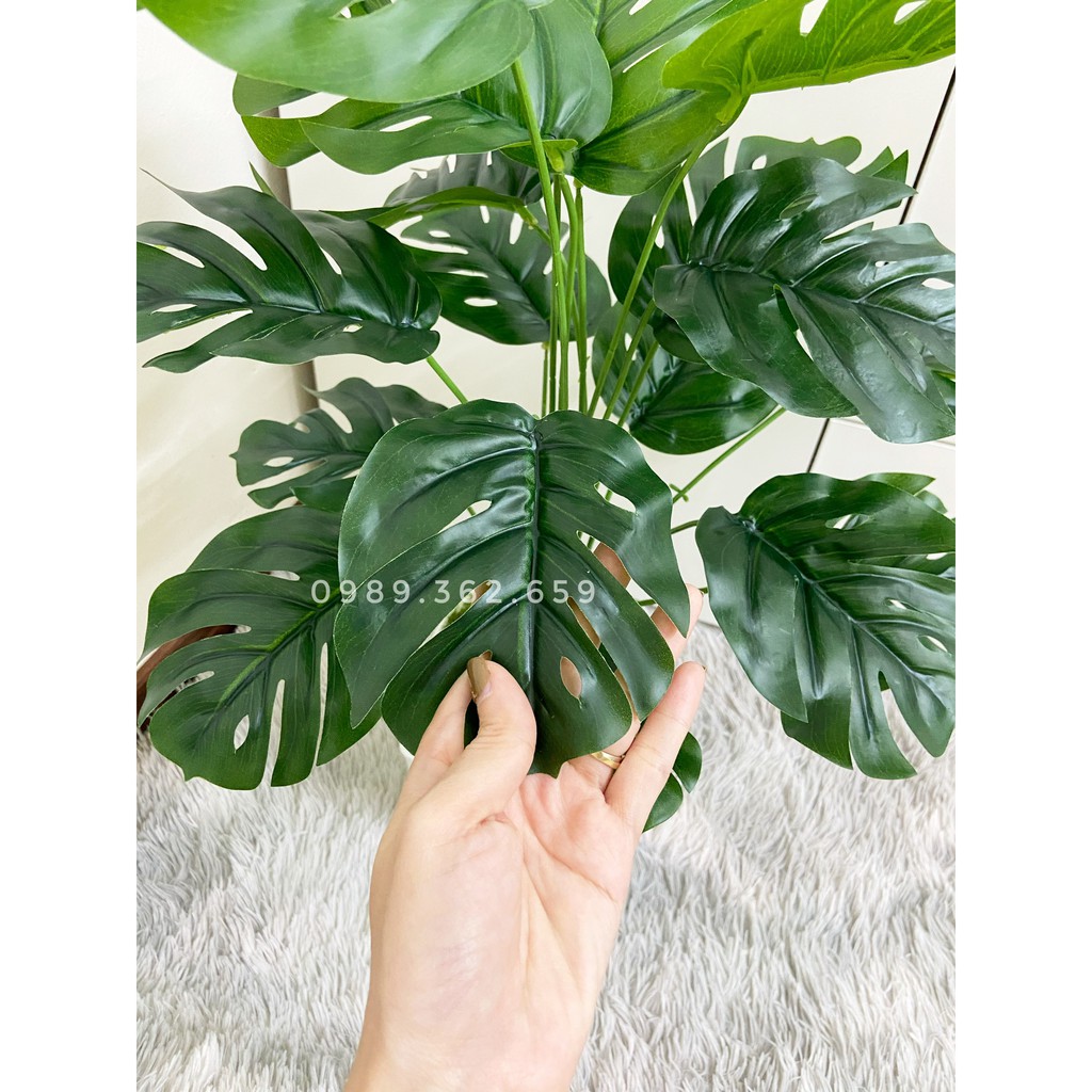 Cây giả - cây lá rùa decor 50cm