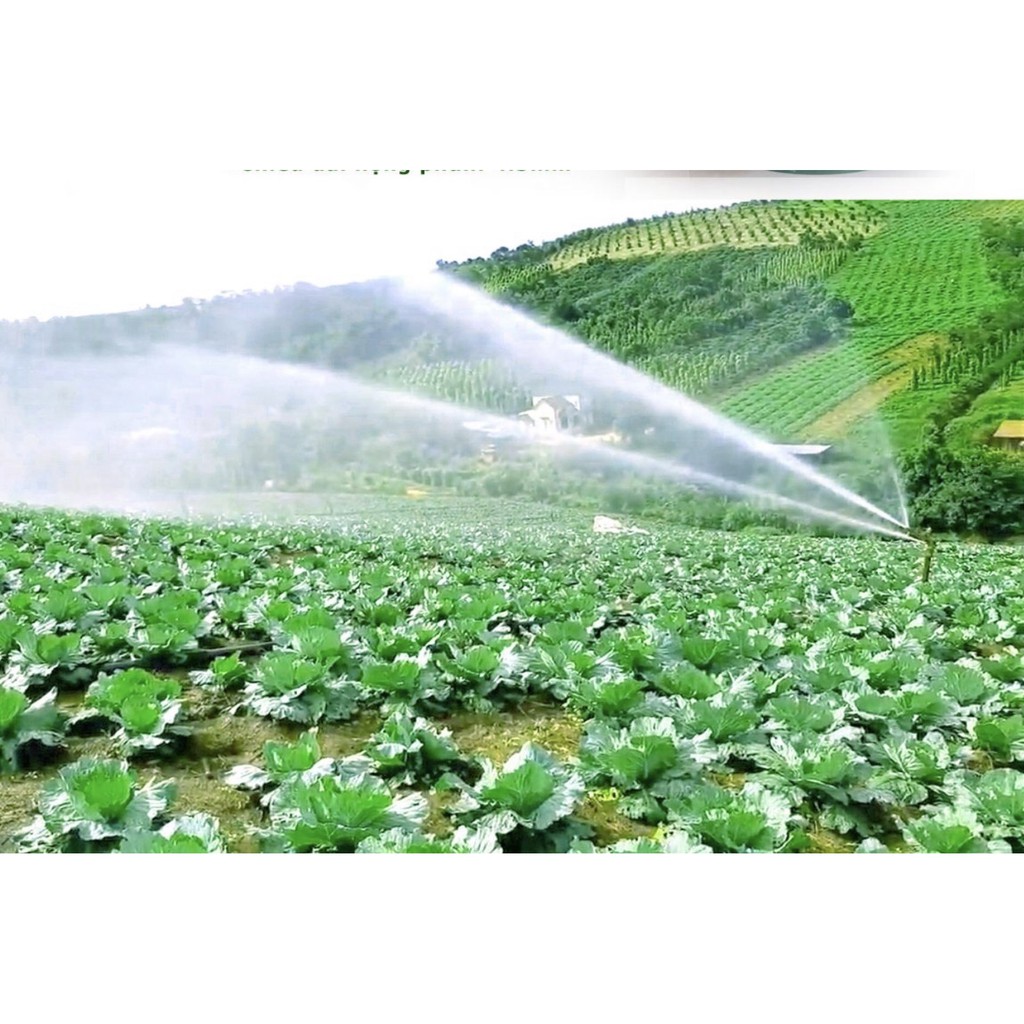 B-915-5 BÉC chỉnh góc đuôi cá ren ngoài 21