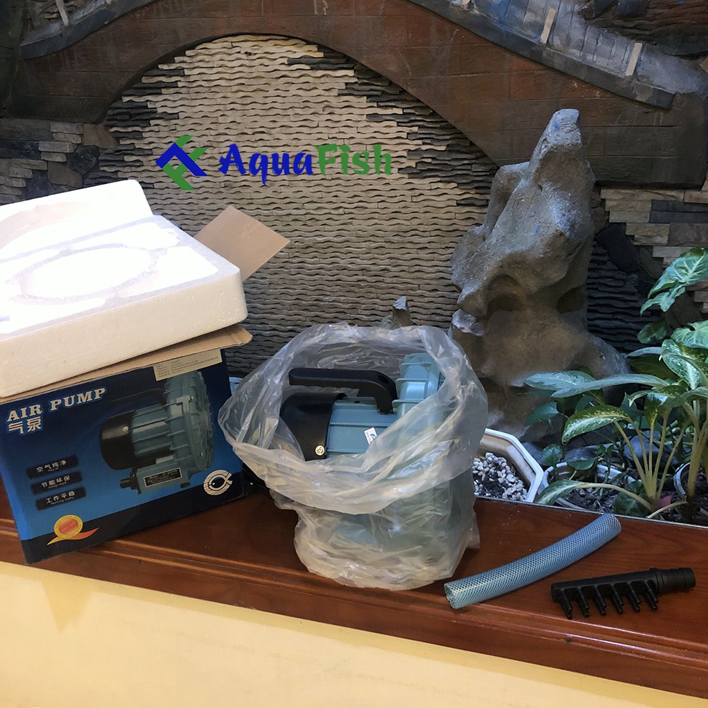 Máy sủi khí oxy Resun GF250 (máy sủi cánh quạt chuyên dụng cho bể hải sản)