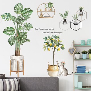 Decal dán tường cây lá nhiệt đới và chậu chanh vàng mẫu mới trang trí nhà cửa
