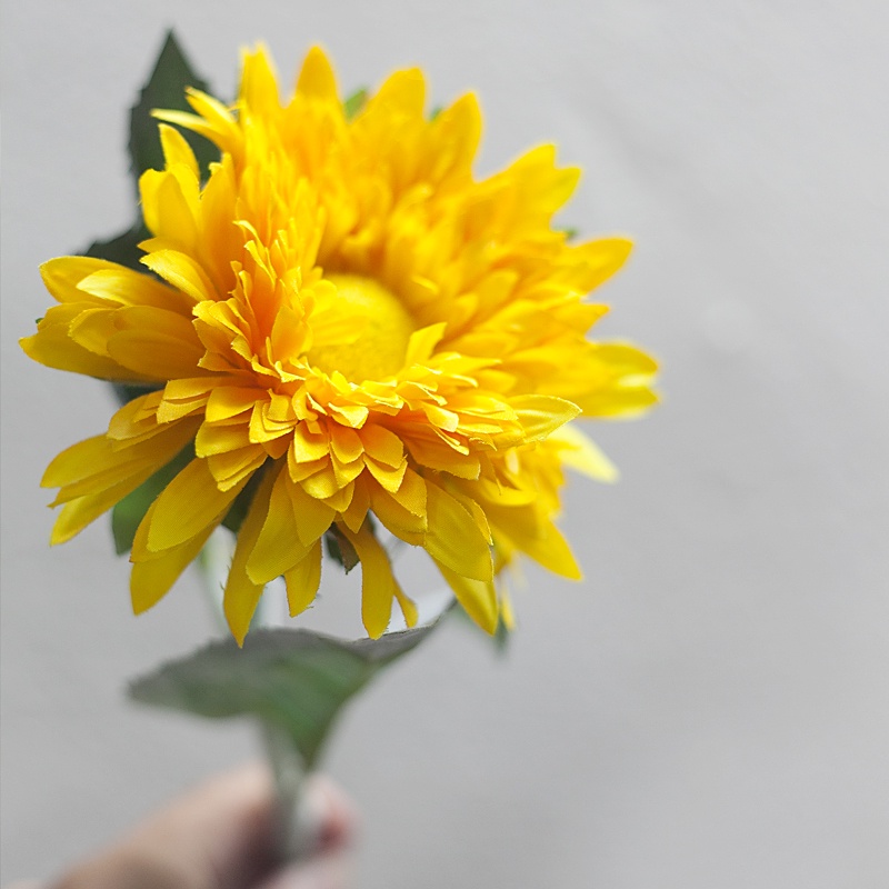Cành Hoa Hướng Dương giả bằng vải - HC76 - jassi Decor