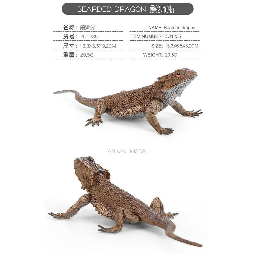 Mô hình kết hợp tắc kè hoa thằn lằn độc đáo