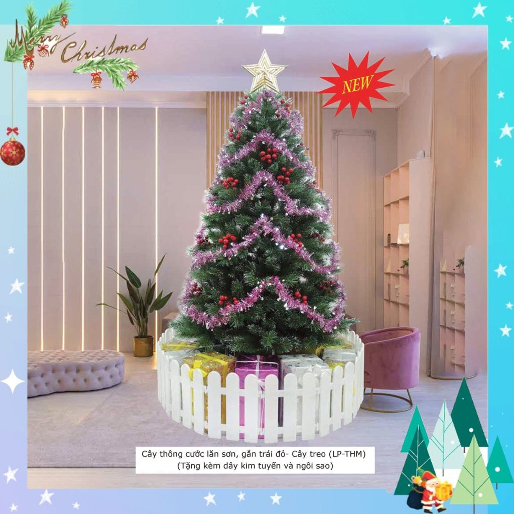 Cây thông noel 1m5 - cây thông noel cước lăn sơn gắn trái đỏ   - loại cây treo tán lá dày trang trí giáng sinh ( LP-THM)