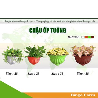 Chậu ốp tường size 38 cm