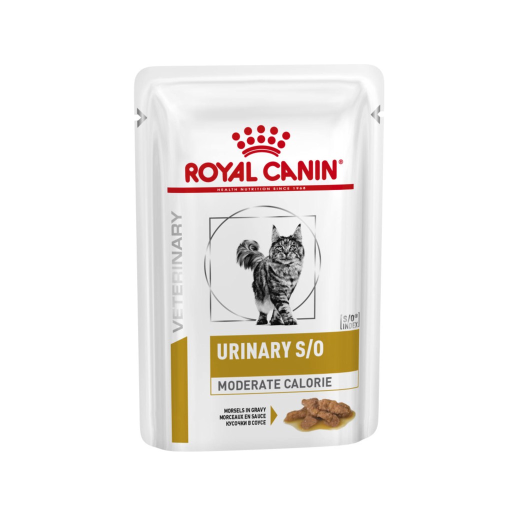 [HỖ TRỢ ĐIỀU TRỊ SỎI THẬN] Combo 5 Hạt ướt hỗ trợ mèo bị sỏi thận Royal Canin Urinary S/O