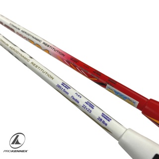VỢT CẦU LÔNG POWER PRO 704 PROKENNEX