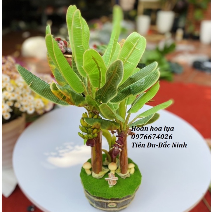 Cây giả_Cây chuối 2 thân cao su nhập khẩu đẹp 100% giống thật đến từng chi tiết