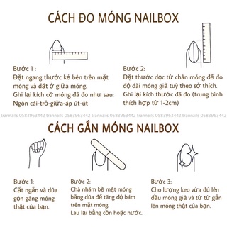nailbox thiết kế theo mẫu