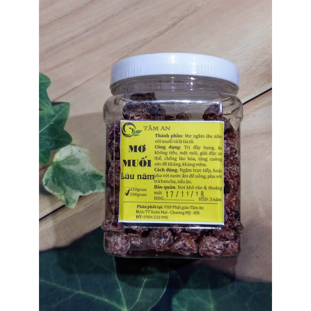 MƠ MUỐI DƯỠNG SINH