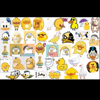 Sticker dán chống thấm nước vịt vàng