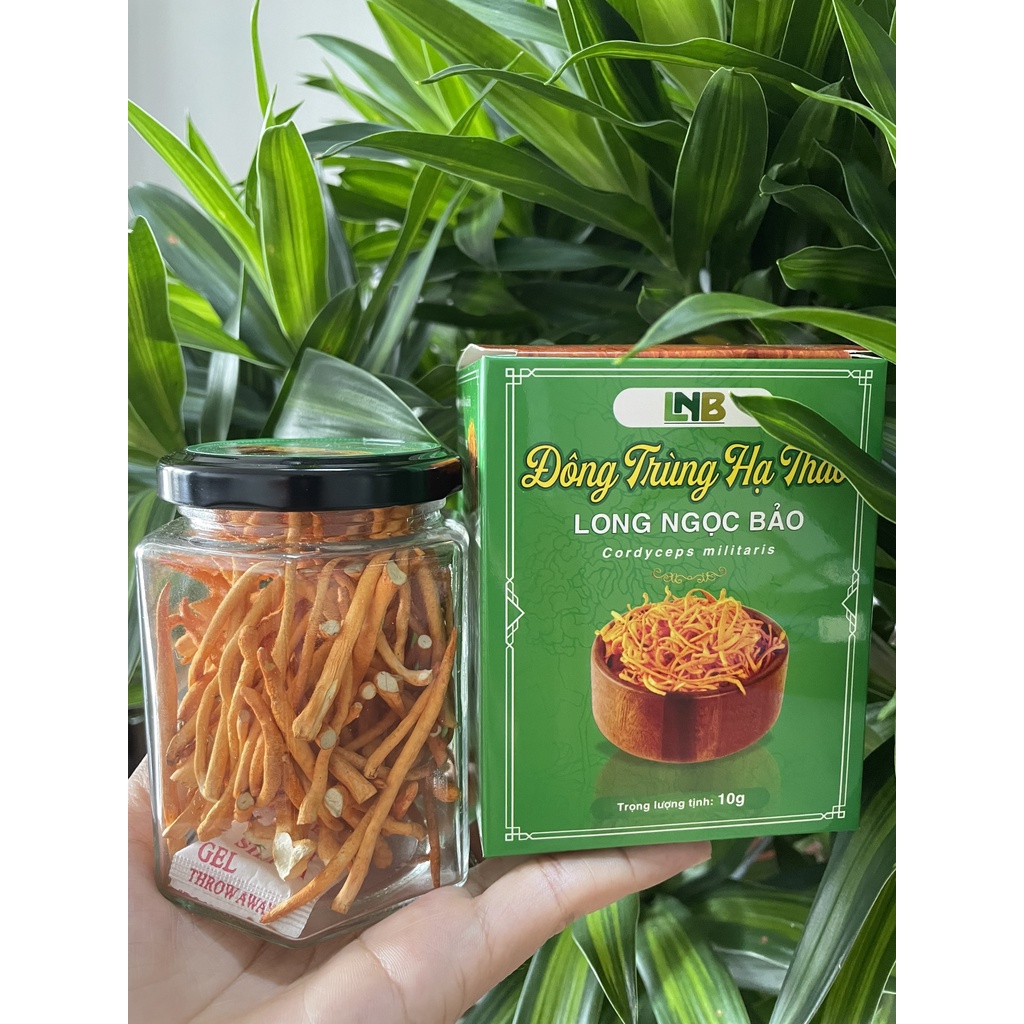 Đông Trùng Hạ Thảo Long Ngọc Bảo