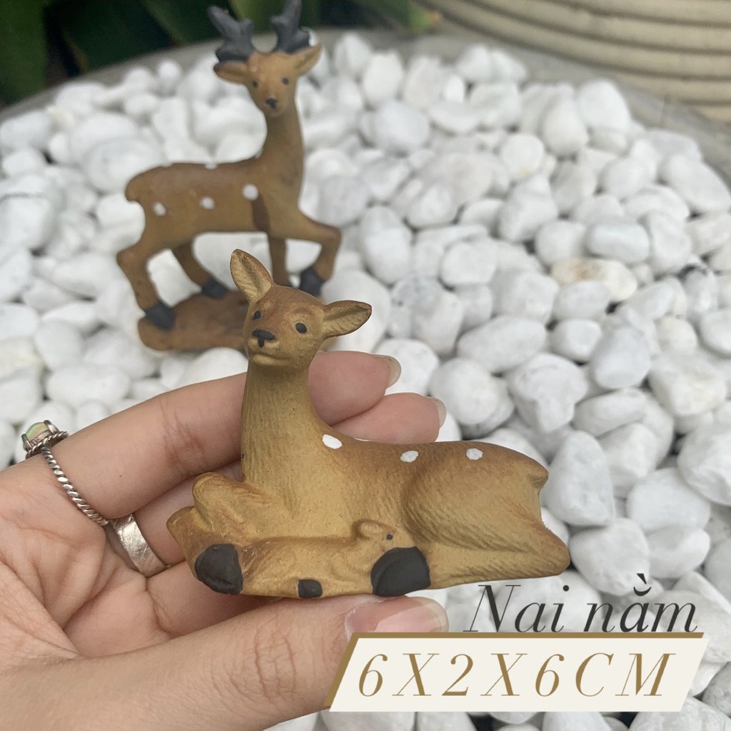CON NAI TRANG TRÍ HỒ CÁ, SẪN VƯỜN...