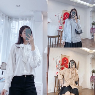 Sơ mi lụa cổ nơ thiết kế by Ann