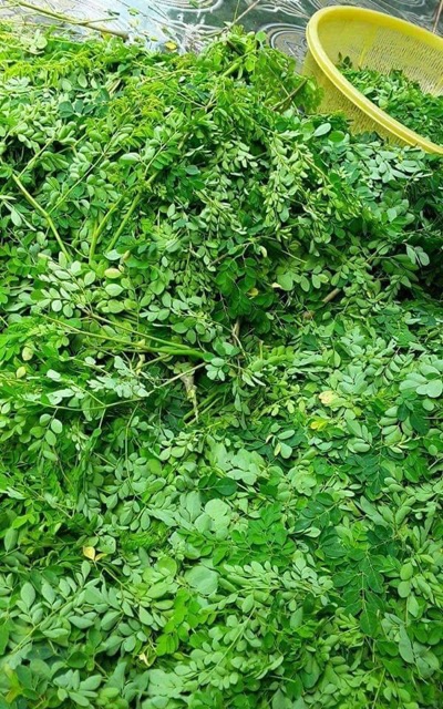 100g BỘT CHÙM NGÂY SẤY LẠNH, CAM KẾT NGUYÊN CHẤT, NHÀ LÀM | BigBuy360 - bigbuy360.vn