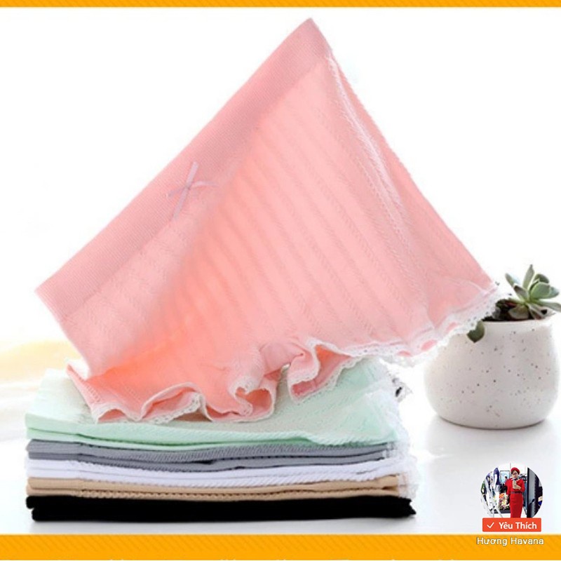 Quần lót nữ mặc trong váy dệt gân - freesize - quần chip nữ túi zip sang chảnh FLQ68