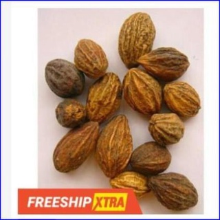 500gr kha tử khô thơm ngon