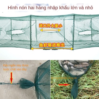 Lưới tôm hùm, lưới tôm hùm, lưới tôm hùm