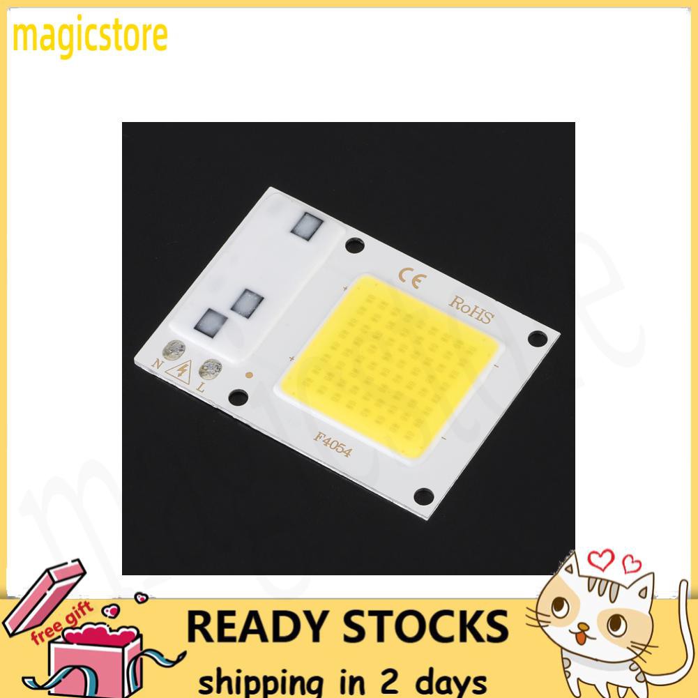 Chip Đèn Led Sân Vườn Ánh Sáng Trắng Cao Cấp