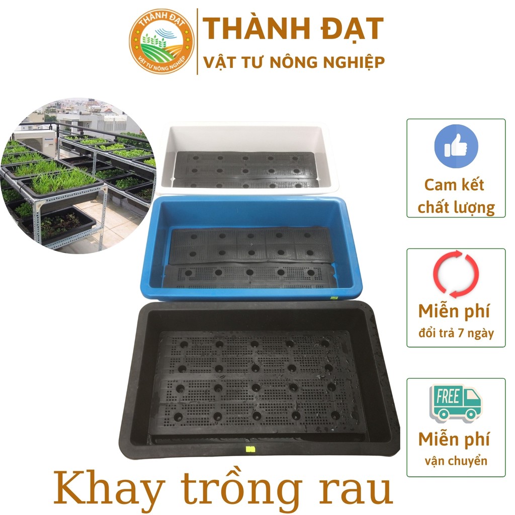 Chậu nhựa trồng rau kích thước 68x42 x16cm kèm lưới Trồng Rau, Hoa Kiểng