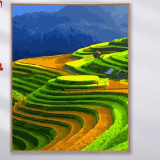 Tranh sơn dầu số hóa Bò sữa mã VN024 Ruộng bậc thang phong cảnh Việt Nam size 40x50 đã căng khung và đầy đủ phụ kiện