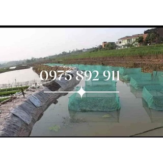 Tráng nuôi ốc mới nở - Mã số 211