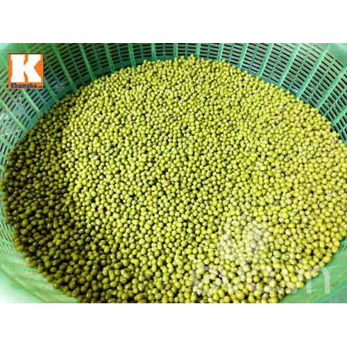 Đậu xanh nguyên hạt loại 1 đẹp 200g 500g