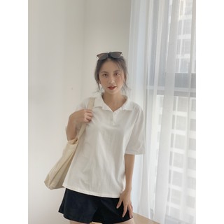 Áo phông cổ đức trơn AP386 1994closet