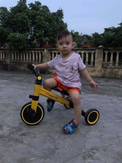 Xe thăng bằng _xe đạp 3 bánh