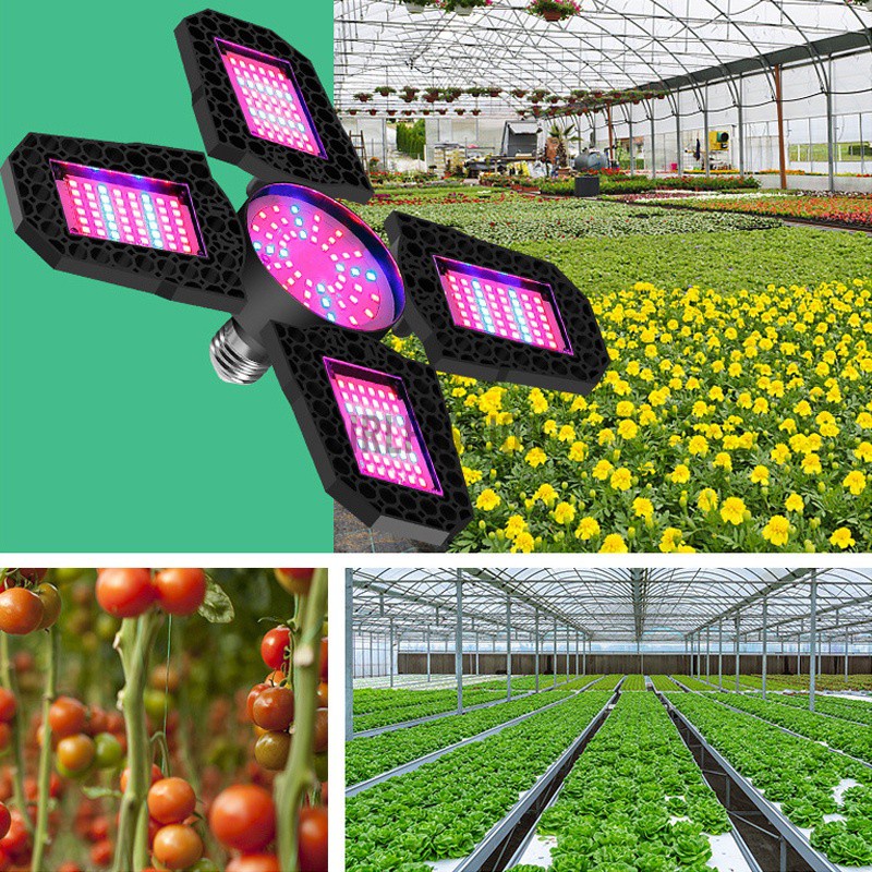 E27 LED Grow Light Red+Blue Spectrum Greenhouse Vegetable Flower Hydroponics In Stock