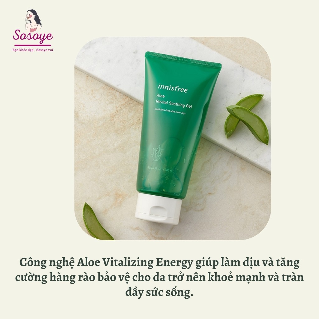 [Date 2023] Gel Lô Hội Innisfree Dưỡng Ẩm Mát Da Aloe Revital Soothing Gel 300ml