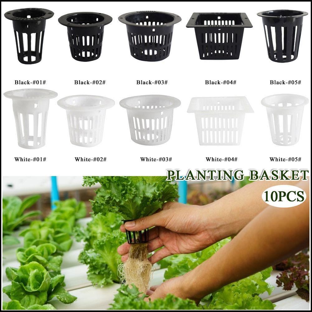 Set 10 Chậu Trồng Cây Thủy Canh Không Cần Đất
