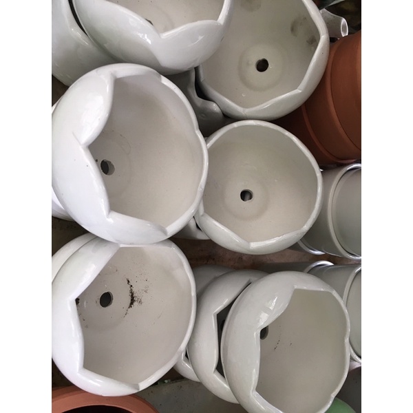 CHẬU MEN SIÊU CUTE HÌNH TRỨNG