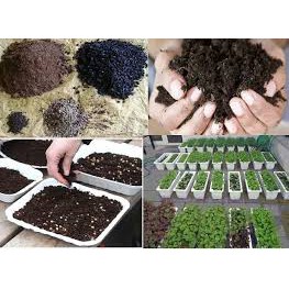 1 Kg đất hữu cơ sạch trồng cây ( đất trồng rau - trồng sen đá, xương rồng và các loại cây khác)