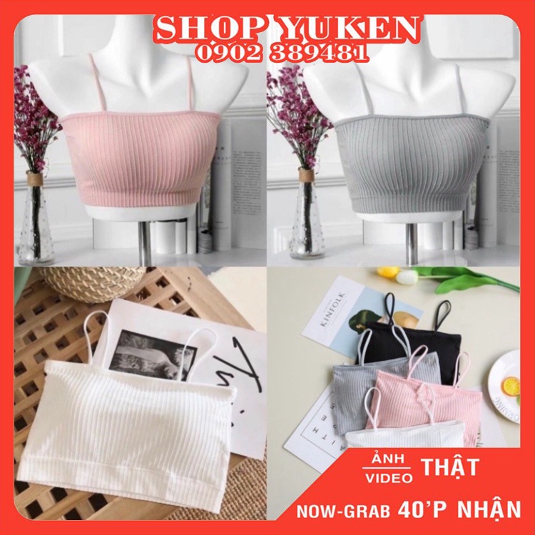 Áo Lót NữÁo Ngực Đệm Mỏng-Bra Ống 2 Dây Cotton Gân Tăm Có Mút