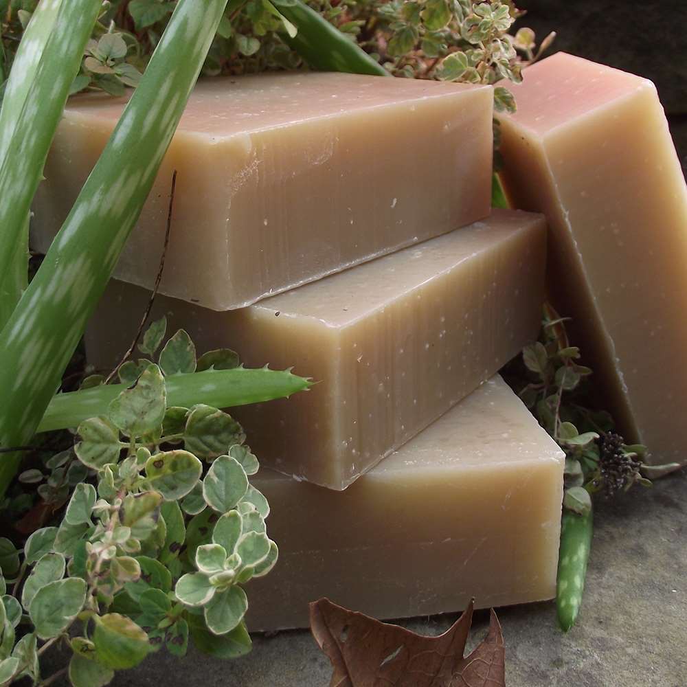 [Organic] Soap gội đầu thảo mộc hữu cơ cho tóc dầu, giảm gàu Chagrin Valley Neem and Tea Tree