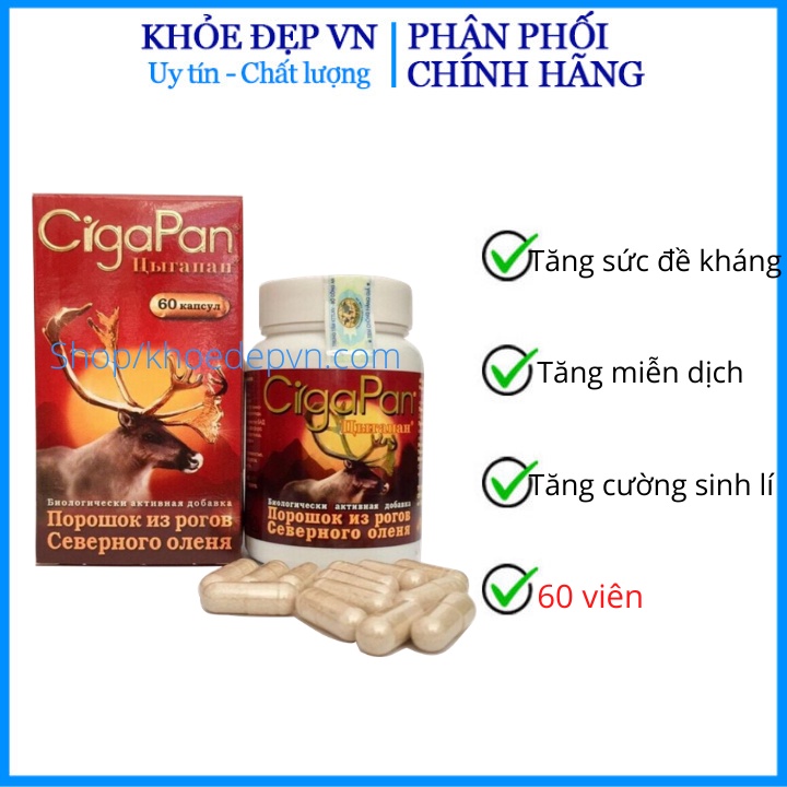 Viên uống nhung hươu Cigapan bổ sung dinh dưỡng, phục hồi sức khỏe, ổn định huyết áp - Hộp 60 viên