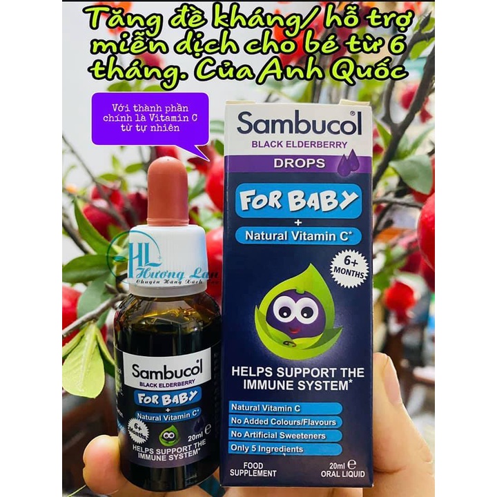 Siro Tăng Đề Kháng Sambucol Black Elderberry Hàng Nội Địa Anh
